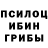 Галлюциногенные грибы мицелий Alt Modern