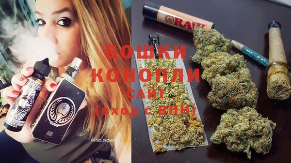 ГАЛЛЮЦИНОГЕННЫЕ ГРИБЫ Сосновка