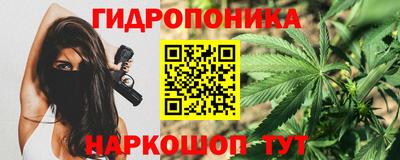 спиды Канаш
