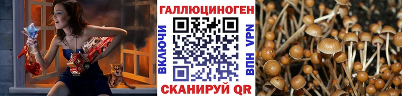 купить  сайты  Корсаков  Псилоцибиновые грибы MAGIC MUSHROOMS 