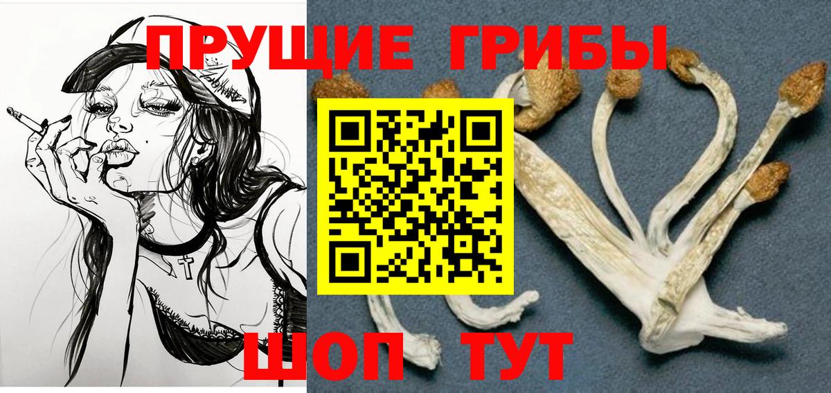 Галлюциногенные грибы Psilocybe Корсаков