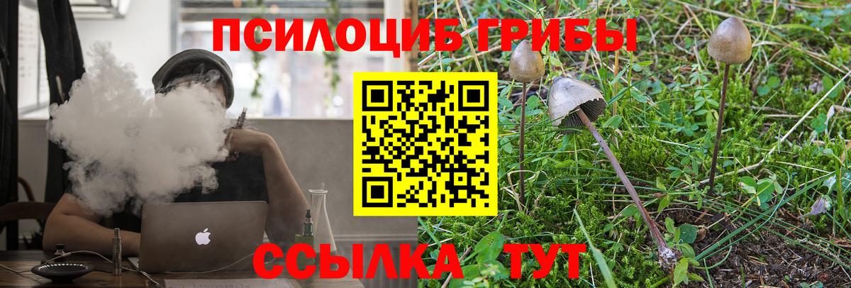 Псилоцибиновые грибы мицелий  Вход с VPN  Галлюциногенные грибы Psilocybe  как найти закладки  Корсаков 